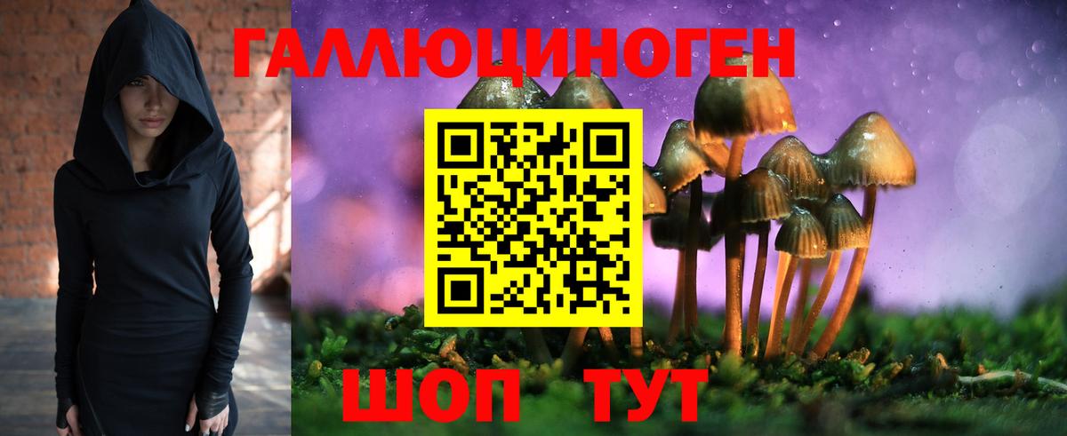 Черняховск  Галлюциногенные грибы Magic Shrooms  Вход с VPN 